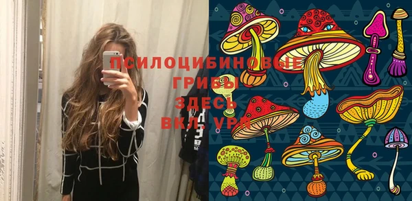 ГАЛЛЮЦИНОГЕННЫЕ ГРИБЫ Беломорск