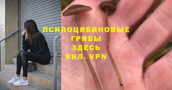 гашик Балахна